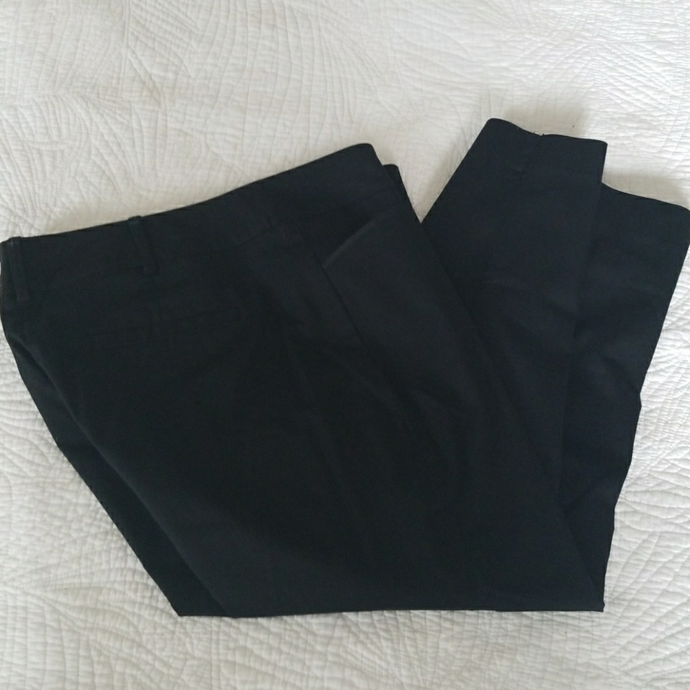 NWOT Ankle Pants